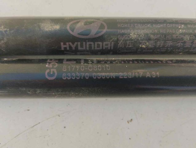 81770C8010 HYUNDAI Amortiguador maletero  en stock Córdoba