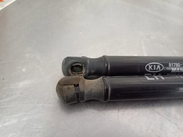 817801W200 HYUNDAI Amortiguador de la tapa del maletero  comprar en Oviedo