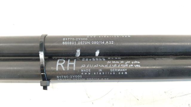 817802Y000 HYUNDAI Amortiguador maletero  en stock Gandía