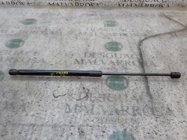 Amortiguadores de maletero Suzuki Swift IV (MZ, EZ)