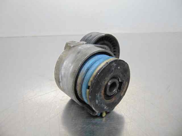8200048486 Tensor de correa poli V  en stock Granada
