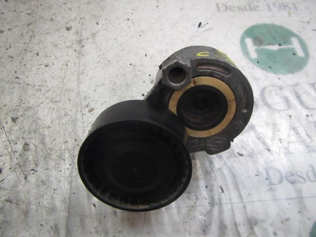 8200048486 RENAULT Tensor de correa poli V  en stock Córdoba