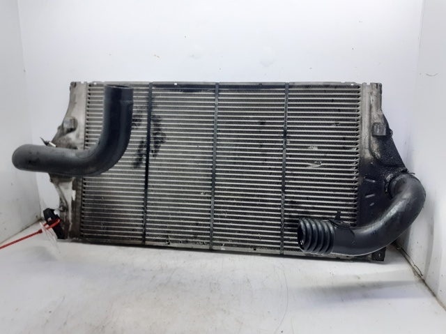 8200075810 Renault (RVI)