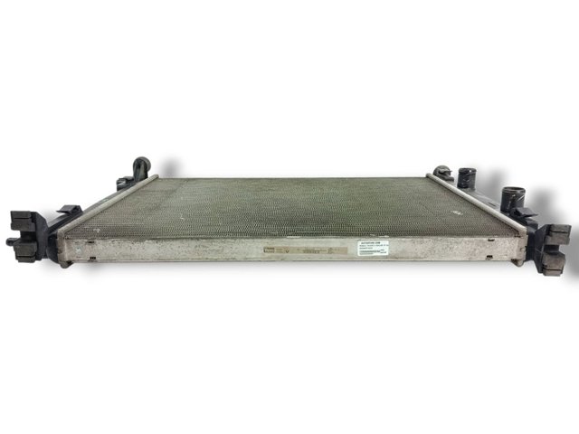 8200117609 RENAULT Radiador de refrigeración del motor  disponible Vigo