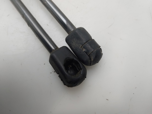 8200119498 Amortiguador de la tapa del maletero  comprar en Reus