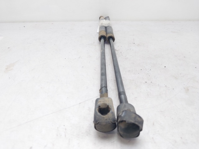 RENAULT 8200119498 Amortiguador maletero  en stock Salamanca