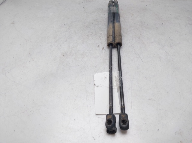 8200119498 RENAULT Amortiguador de la tapa del maletero  comprar en Lleida