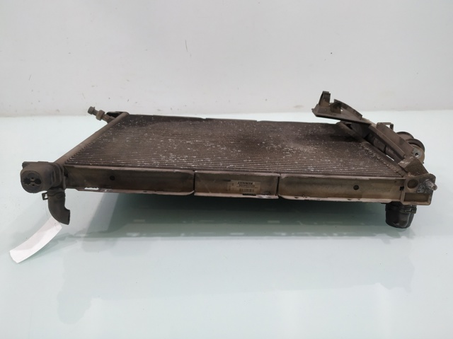 RENAULT 8200134606 Radiador comprar Barcelona