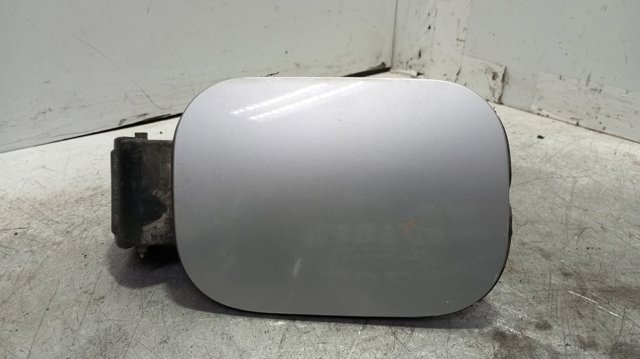 Tapa del depósito de gasolina Renault Megane II desde 40,66 €