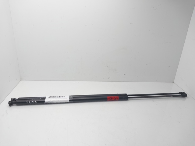 Comprar Amortiguador de puerta trasera Trafic II JL