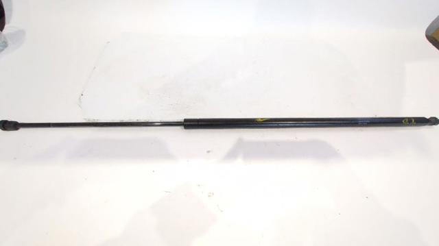 Amortiguador de maletero Renault Trafic 2 FL