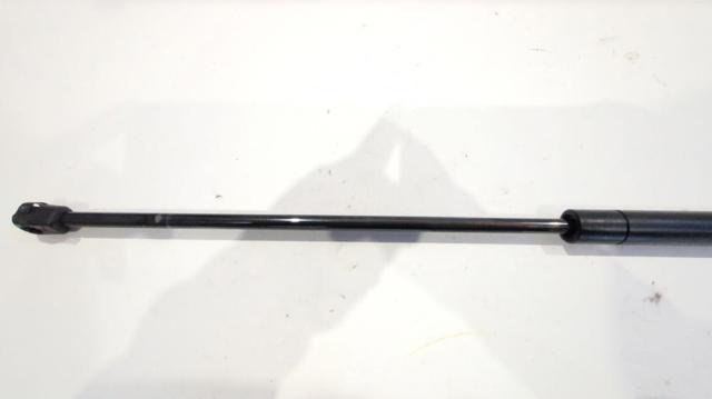 Amortiguador de maletero Renault Trafic 2 FL