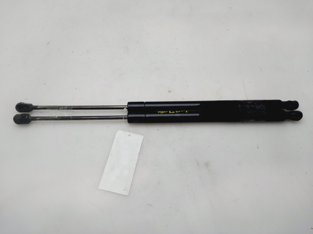 Comprar Amortiguador de la tapa del maletero Renault Scenic II JM0, JM1 a bajo precio