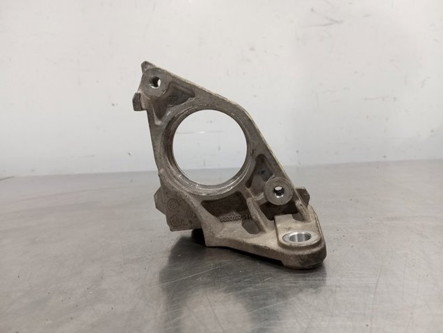 Soporte De Rodamiento Externo Del Eje Delantero 8200187544 Renault (RVI)