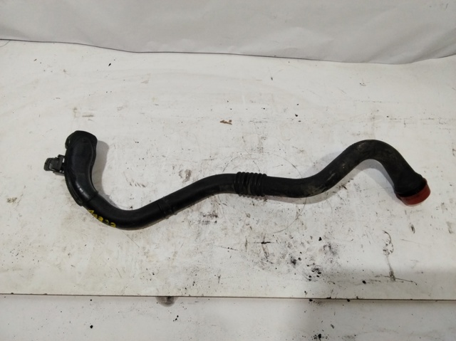 RENAULT 8200208708 Tubo intercooler comprar Tarragona