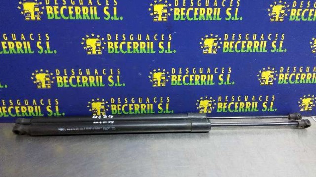 8200219322 Renault (RVI)