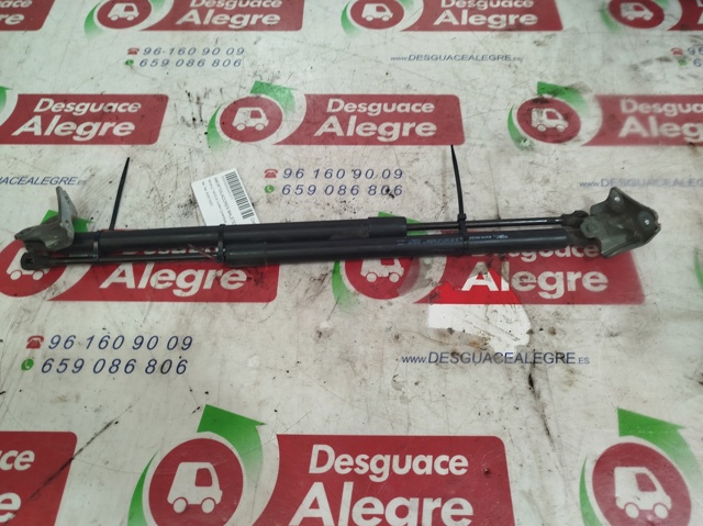 RENAULT 8200219322 Amortiguador maletero comprar Pamplona