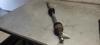 Árbol de transmisión delantero derecho 8200261841 RENAULT