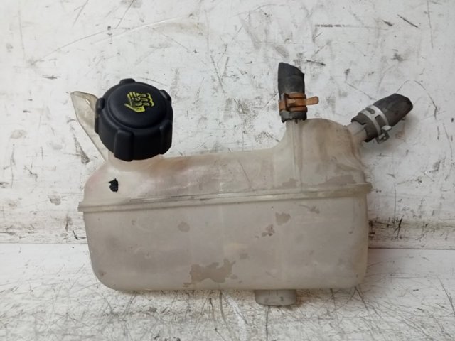 RENAULT 8200273157 Botella de refrigeración  comprar en Albacete