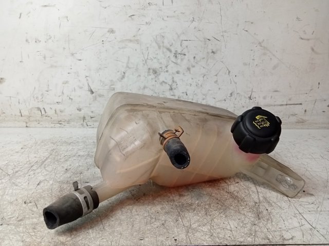 8200273157 Vaso de expansión comprar Almería