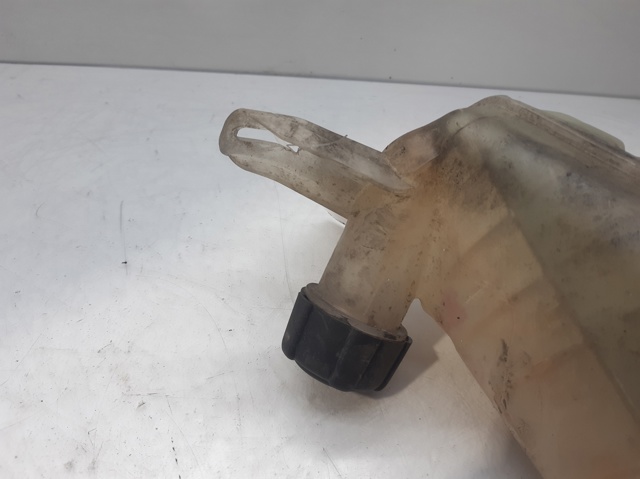 8200273157 Botella de refrigeración  comprar en Reus