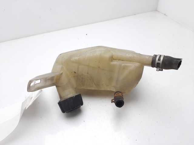 RENAULT 8200273157 Vaso de expansión comprar Barcelona
