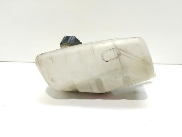 8200273157 RENAULT Botella de refrigeración  disponible Vigo