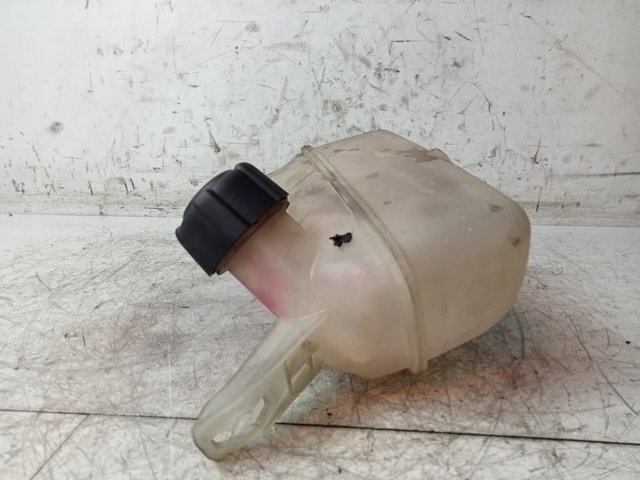 8200273157 RENAULT Vaso de expansión comprar Madrid