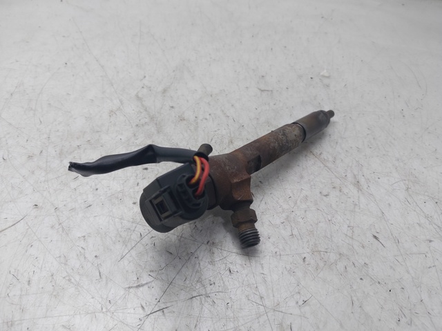 Comprar Inyector de combustible Nissan Qashqai I J10 a bajo precio