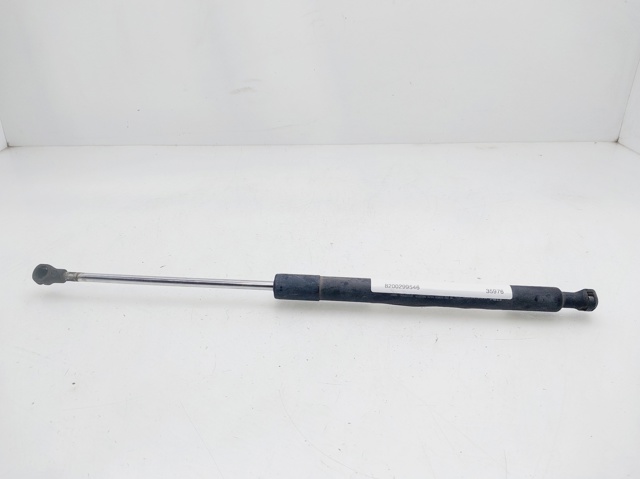 8200299546 Renault (RVI)