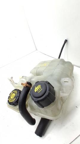 8200339746 Renault (RVI)