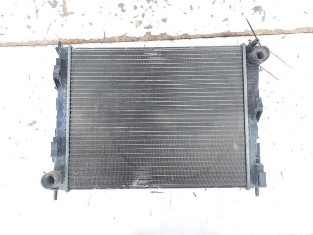 Água radiador 8200369307 RENAULT