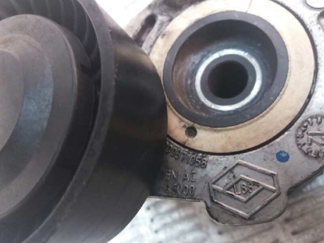 8200371058 Tensor de correa poli V  en stock Granada