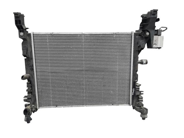 8200418328 RENAULT Radiador de refrigeración del motor  disponible Alicante
