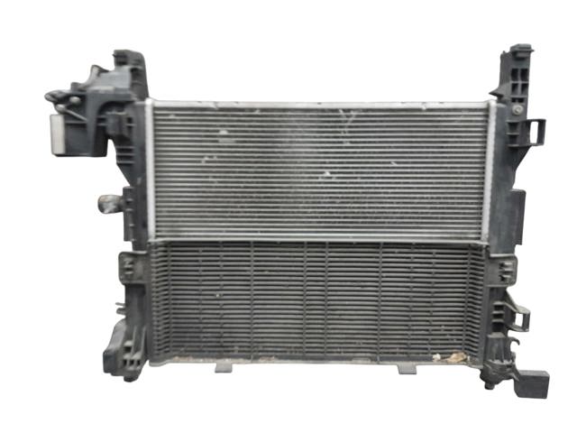 8200418328 RENAULT Radiador de refrigeración del motor  comprar en Lleida