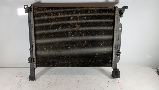 RENAULT 8200418329 Radiador de refrigeración del motor  comprar en Murcia