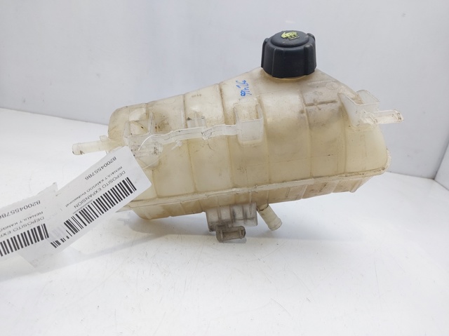 8200455786 RENAULT  comprar en Jaén