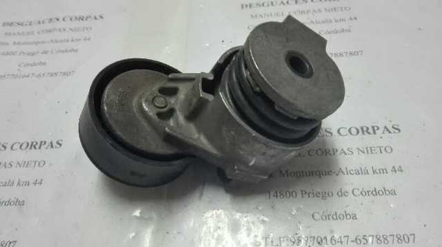 RENAULT 8200460446 Tensor de correa poli V comprar Tarragona