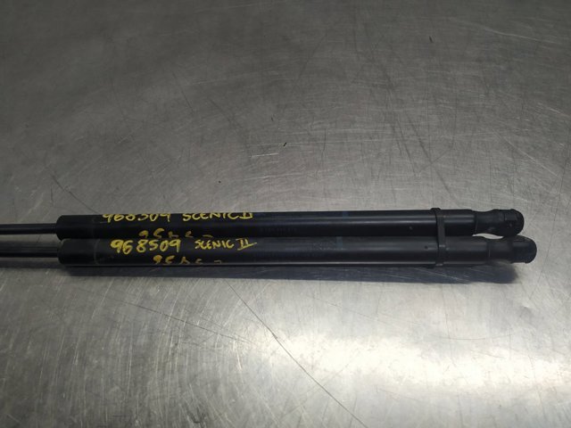 8200484676 RENAULT Amortiguador de la tapa del maletero  comprar en Jaén