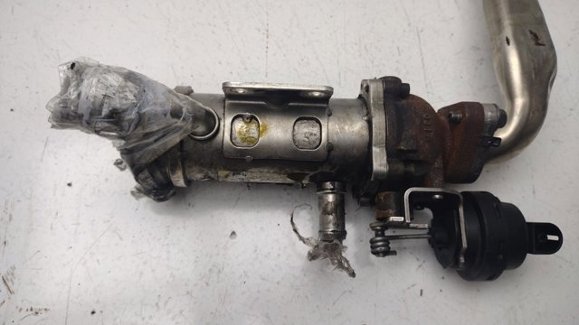 8200505409 RENAULT Enfriador de recirculación de gases de escape EGR  comprar en Jaén