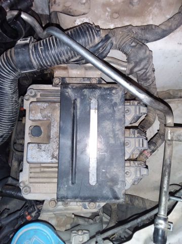 8200518648 Suzuki