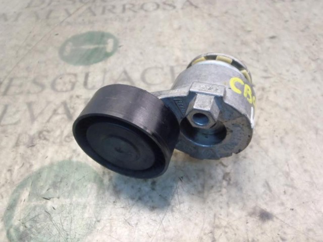 8200608550 Tensor de correa poli V  en stock Granada