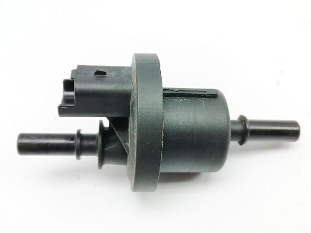 Valvula De Adsorcion De Vapor De Combustible Renault Laguna 2 BG0, BG1