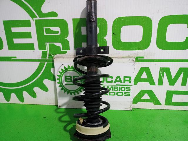 Amortiguador delantero Renault Megane 2 LM0, LM1