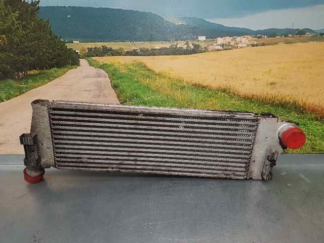 8200700172 RENAULT Intercooler comprar Bilbao