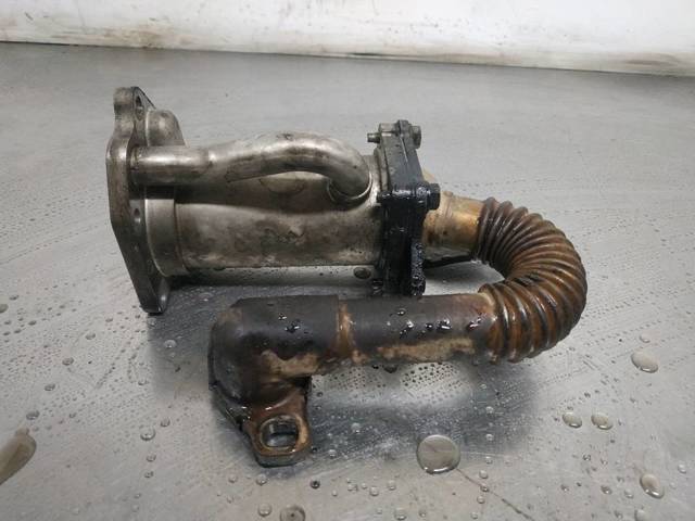 8200729079 Renault (RVI)