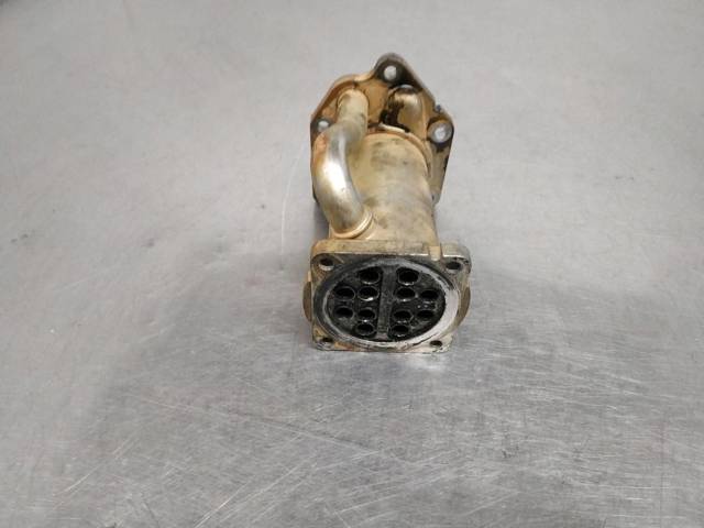 8200729079 Renault (RVI)