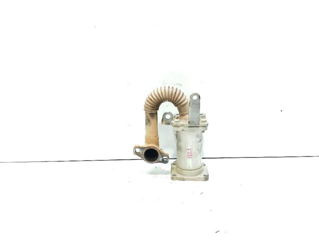 8200729079 Renault (RVI)