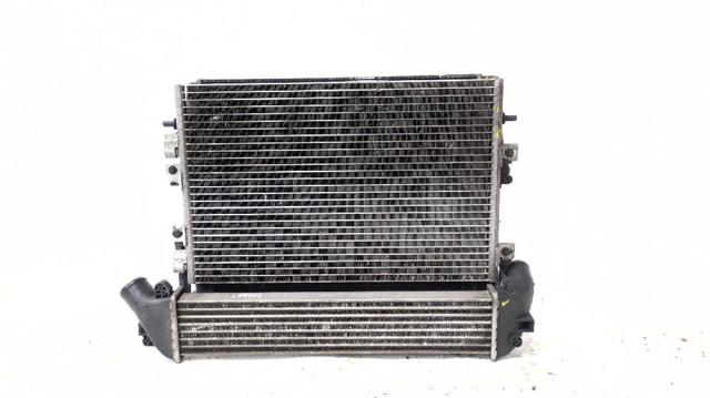 8200732390 RENAULT Intercooler  en stock Huelva