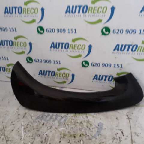 Embellecedor de la manija de la puerta 8200732455 Renault (RVI)